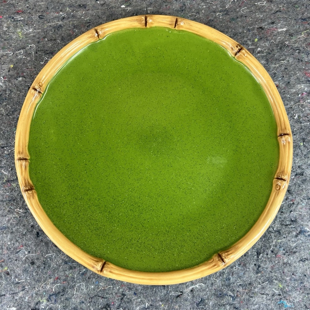 Home China Ipanema Pattern Green Center Stoneware Dinner Plate 11" Bamboo Trim